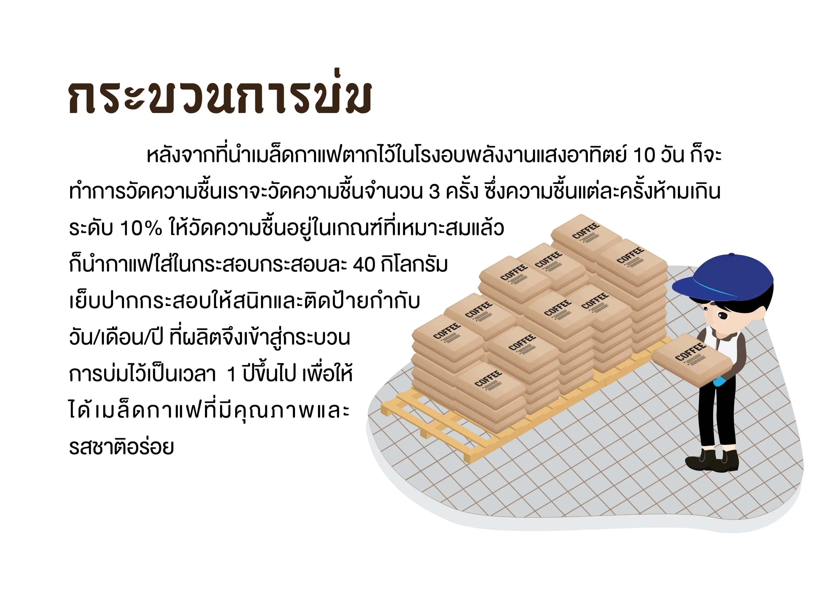 กาแฟโรบัสต้าเกรดพรีเมี่ยม (กระบวนการบ่มกาแฟโรบัสต้า)