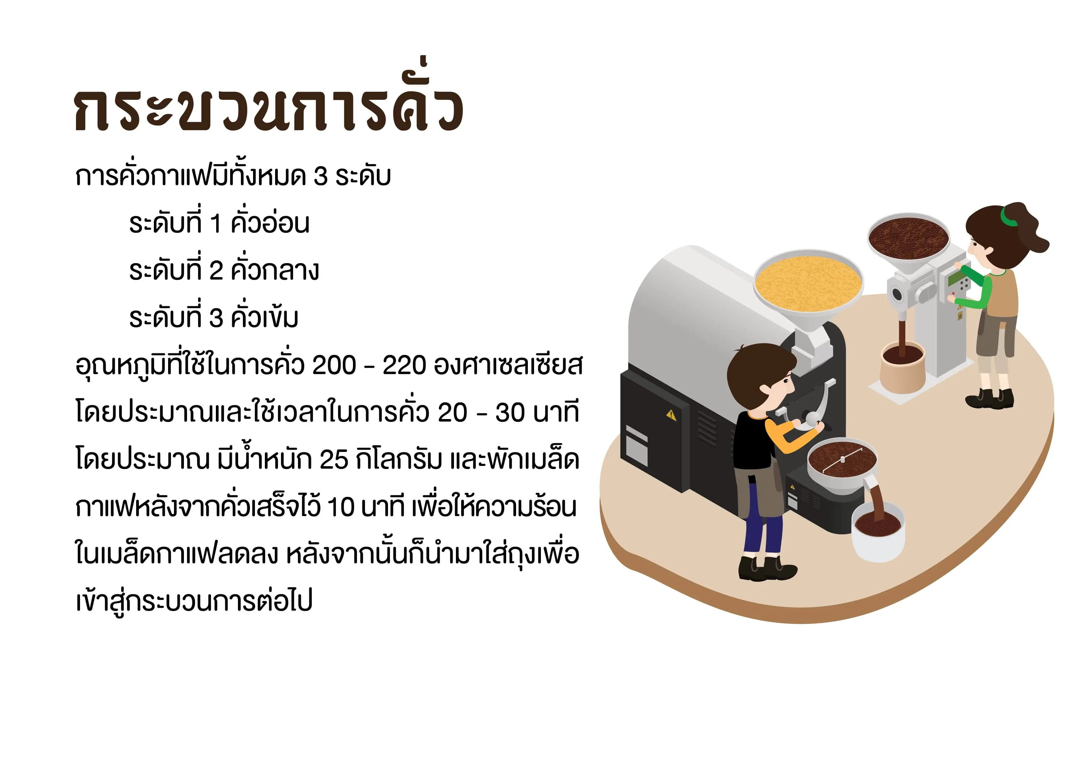 กาแฟโรบัสต้าเกรดพรีเมี่ยม (กระบวนการคั่วกาแฟโรบัสต้า)