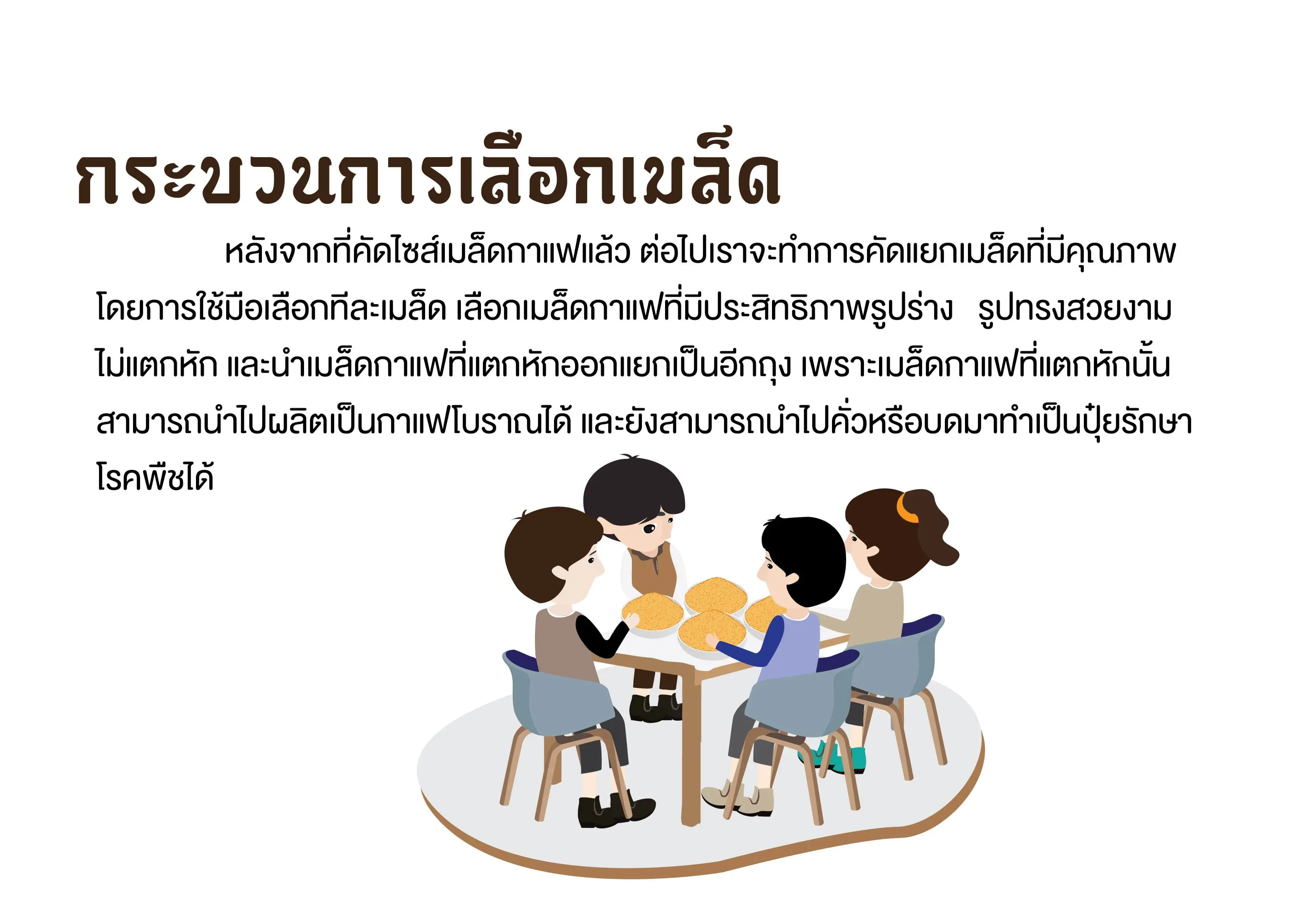 กาแฟโรบัสต้าเกรดพรีเมี่ยม (กระบวนการเลือกเมล็ดกาแฟโรบัสต้า)