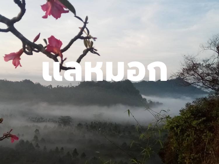 ท่องเที่ยวชุมชนถ้ำสิงห์