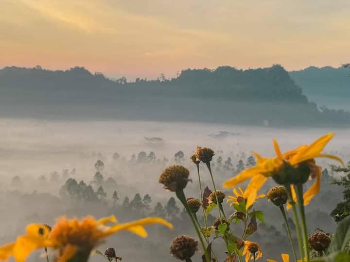 ท่องเที่ยวชุมชนถ้ำสิงห์
