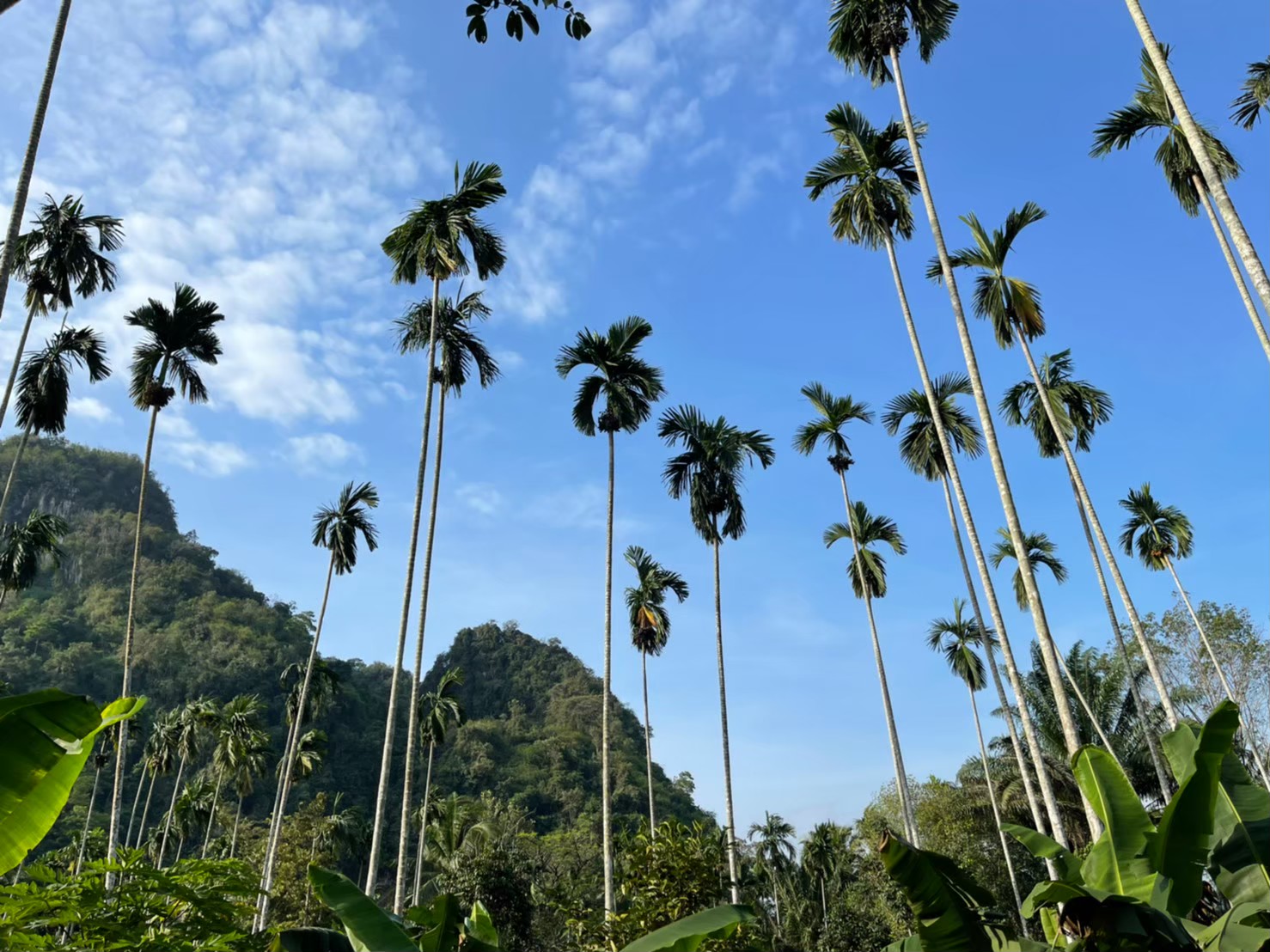 ท่องเที่ยวชุมชนถ้ำสิงห์