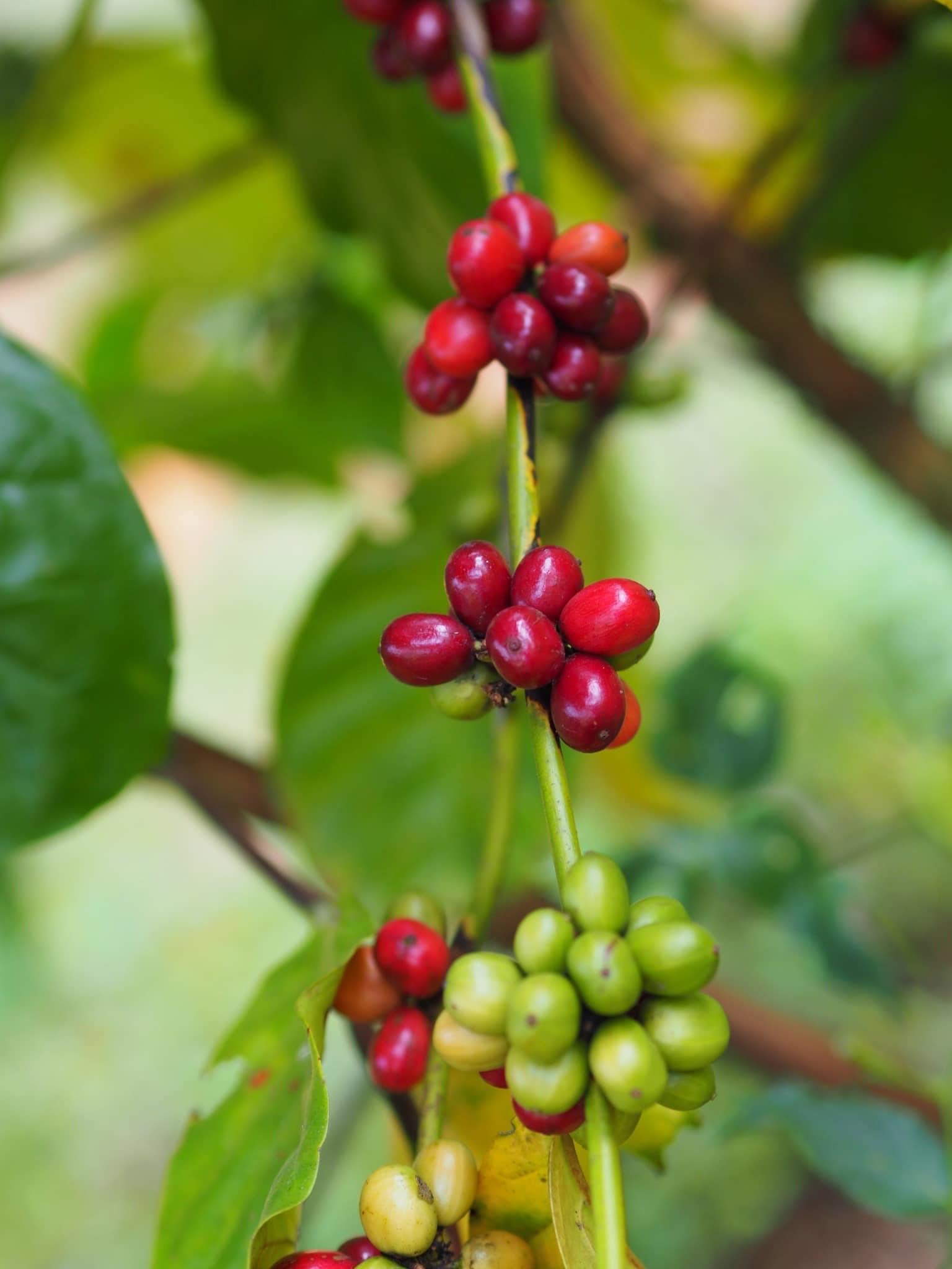 ท่องเที่ยวชุมชนถ้ำสิงห์