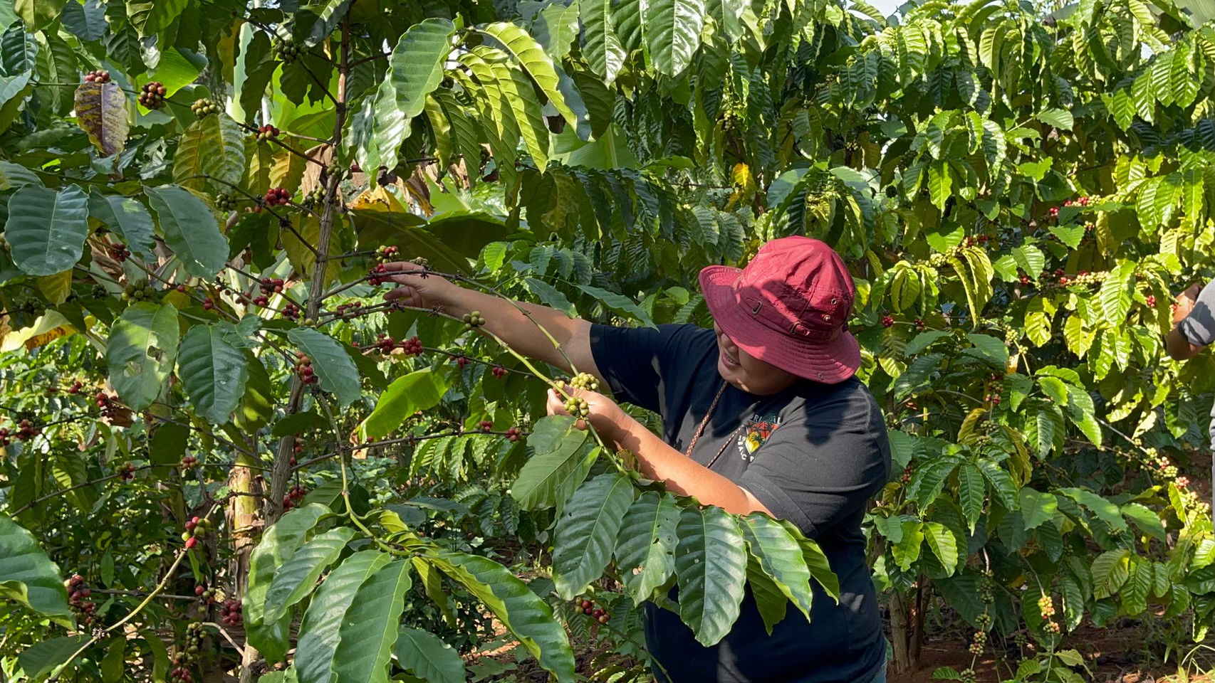 ท่องเที่ยวชุมชนถ้ำสิงห์