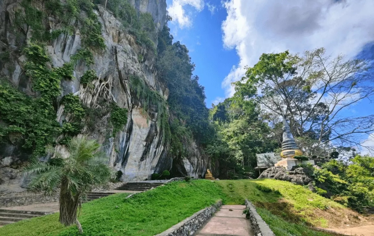 กาแฟเกรดพรีเมียมจากสวนกาแฟชุมพร