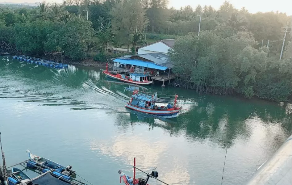 กาแฟเกรดพรีเมียมจากสวนกาแฟชุมพร