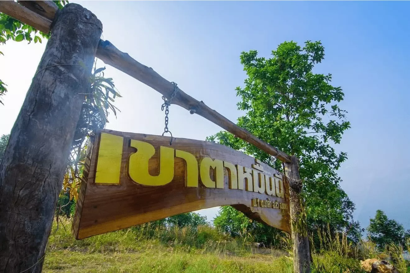 กาแฟเกรดพรีเมียมจากสวนกาแฟชุมพร