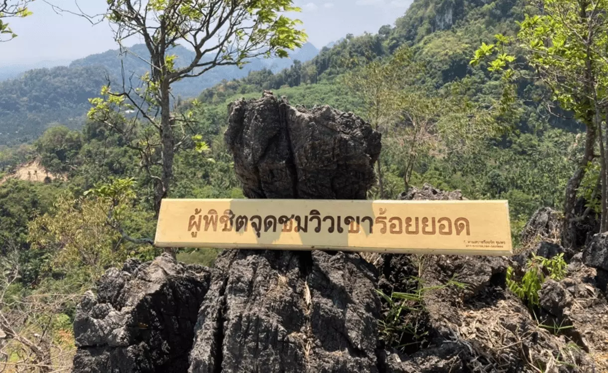 กาแฟเกรดพรีเมียมจากสวนกาแฟชุมพร